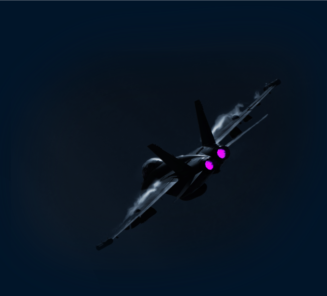 Avion de chasse